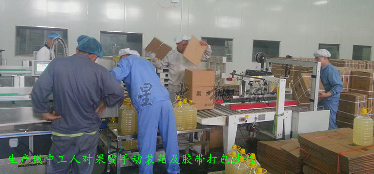 消防粉灌裝生產(chǎn)線，全自動(dòng)粉末灌裝生產(chǎn)線